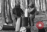 Image of abandoned German shells Kalenborn Germany, 1945, second 42 stock footage video 65675080290
