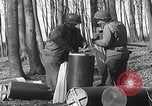 Image of abandoned German shells Kalenborn Germany, 1945, second 45 stock footage video 65675080290
