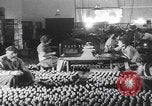 Image of Carmel Winery workers Carmel Palestine, 1946, second 1 stock footage video 65675080295