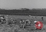 Image of Palestine farmers digging Palestine, 1946, second 7 stock footage video 65675080297