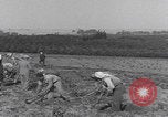Image of Palestine farmers digging Palestine, 1946, second 17 stock footage video 65675080297