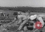 Image of Palestine farmers digging Palestine, 1946, second 25 stock footage video 65675080297