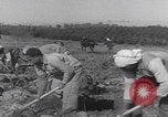 Image of Palestine farmers digging Palestine, 1946, second 26 stock footage video 65675080297