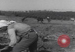 Image of Palestine farmers digging Palestine, 1946, second 31 stock footage video 65675080297