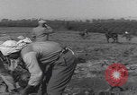 Image of Palestine farmers digging Palestine, 1946, second 32 stock footage video 65675080297