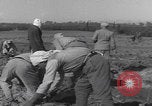 Image of Palestine farmers digging Palestine, 1946, second 33 stock footage video 65675080297