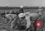 Image of Palestine farmers digging Palestine, 1946, second 40 stock footage video 65675080297
