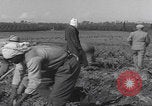 Image of Palestine farmers digging Palestine, 1946, second 42 stock footage video 65675080297