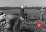 Image of Palestine farmers digging Palestine, 1946, second 43 stock footage video 65675080297