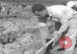 Image of Palestine farmers digging Palestine, 1946, second 44 stock footage video 65675080297