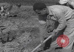 Image of Palestine farmers digging Palestine, 1946, second 45 stock footage video 65675080297