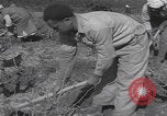 Image of Palestine farmers digging Palestine, 1946, second 48 stock footage video 65675080297