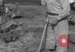 Image of Palestine farmers digging Palestine, 1946, second 49 stock footage video 65675080297