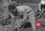 Image of Palestine farmers digging Palestine, 1946, second 52 stock footage video 65675080297