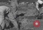 Image of Palestine farmers digging Palestine, 1946, second 59 stock footage video 65675080297