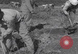 Image of Palestine farmers digging Palestine, 1946, second 60 stock footage video 65675080297