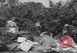 Image Jaffa orange crating Jaffa Palestine, 1946, de la seconde 10 séquences d'archives historiques vidéo 65675080298