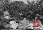 Image Jaffa orange crating Jaffa Palestine, 1946, de la seconde 11 séquences d'archives historiques vidéo 65675080298