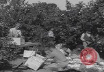 Image Jaffa orange crating Jaffa Palestine, 1946, de la seconde 15 séquences d'archives historiques vidéo 65675080298