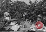 Image Jaffa orange crating Jaffa Palestine, 1946, de la seconde 16 séquences d'archives historiques vidéo 65675080298
