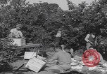 Image Jaffa orange crating Jaffa Palestine, 1946, de la seconde 18 séquences d'archives historiques vidéo 65675080298