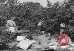 Image Jaffa orange crating Jaffa Palestine, 1946, de la seconde 19 séquences d'archives historiques vidéo 65675080298