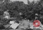 Image Jaffa orange crating Jaffa Palestine, 1946, de la seconde 21 séquences d'archives historiques vidéo 65675080298