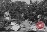 Image Jaffa orange crating Jaffa Palestine, 1946, de la seconde 23 séquences d'archives historiques vidéo 65675080298