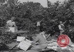 Image Jaffa orange crating Jaffa Palestine, 1946, de la seconde 25 séquences d'archives historiques vidéo 65675080298