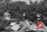 Image Jaffa orange crating Jaffa Palestine, 1946, de la seconde 26 séquences d'archives historiques vidéo 65675080298