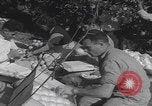 Image Jaffa orange crating Jaffa Palestine, 1946, de la seconde 33 séquences d'archives historiques vidéo 65675080298