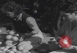 Image Jaffa orange crating Jaffa Palestine, 1946, de la seconde 46 séquences d'archives historiques vidéo 65675080298