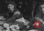 Image Jaffa orange crating Jaffa Palestine, 1946, de la seconde 53 séquences d'archives historiques vidéo 65675080298