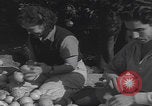 Image Jaffa orange crating Jaffa Palestine, 1946, de la seconde 56 séquences d'archives historiques vidéo 65675080298