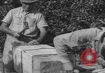 Image Jaffa orange crating Jaffa Palestine, 1946, de la seconde 60 séquences d'archives historiques vidéo 65675080298