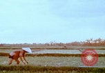 Image Un soldat américain de la guerre du Vietnam se réveille Vietnam, 1967, de la seconde 54 séquences d'archives historiques vidéo 65675080299