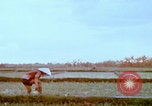 Image Un soldat américain de la guerre du Vietnam se réveille Vietnam, 1967, de la seconde 56 séquences d'archives historiques vidéo 65675080299