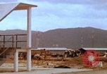 Image Construction d'une base américaine pendant la guerre du Vietnam Vietnam, 1967, de la seconde 43 séquences d'archives historiques vidéo 65675080301
