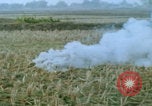Immagine di paracadutisti della guerra del Vietnam Vietnam, 1967, secondo 44 filmato di repertorio 65675080305