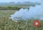 Immagine di paracadutisti della guerra del Vietnam Vietnam, 1967, secondo 45 filmato di repertorio 65675080305