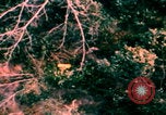Image of US Air Force pilot rescue Vietnam, 1967, second 50 stock footage video 65675080306