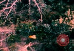 Image of US Air Force pilot rescue Vietnam, 1967, second 52 stock footage video 65675080306
