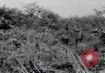 Standbild Friedhöfe der US-Armee im Pazifik im Zweiten Weltkrieg Pazifisches Theater, 1944, aus Sekunde 57 historischem Filmmaterial Videoclip 65675080317