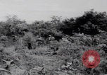 Standbild Friedhöfe der US-Armee im Pazifik im Zweiten Weltkrieg Pazifisches Theater, 1944, aus Sekunde 59 historischem Filmmaterial Videoclip 65675080317