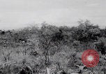 Standbild Friedhöfe der US-Armee im Pazifik im Zweiten Weltkrieg Pazifisches Theater, 1944, aus Sekunde 61 historischem Filmmaterial Videoclip 65675080317