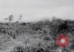 Standbild Friedhöfe der US-Armee im Pazifik im Zweiten Weltkrieg Pazifisches Theater, 1944, aus Sekunde 62 historischem Filmmaterial Videoclip 65675080317