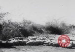 Standbild US Army Air Force 2 Weltkrieg Burma Birma, 1944, aus Sekunde 17 historischem Filmmaterial Videoclip 65675080318