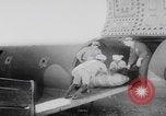 Standbild US Army Air Force 2 Weltkrieg Burma Birma, 1944, aus Sekunde 28 historischem Filmmaterial Videoclip 65675080318