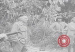 Standbild Behelfskrankenhaus in Burma 2 Weltkrieg Birma, 1944, aus Sekunde 11 historischem Filmmaterial Videoclip 65675080319