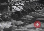 Image Cadets du Corps aérien de la marine de Tsuchiura Préfecture d'Ibaraki, Japon, 1937, de la seconde 25 séquences d'archives historiques vidéo 65675080323
